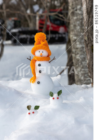森の中で雪うさぎを見つけた雪だるま 86519749