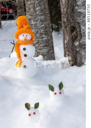 森の中で雪うさぎを見つけた雪だるま 86519750