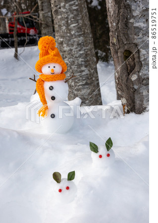 森の中で雪うさぎを見つけた雪だるま 86519751