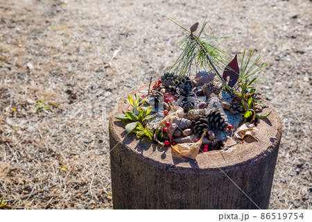 木の実イメージ 86519754