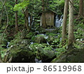 夏の胴腹ノ滝。草木や苔の緑と、湧水の滝＝胴腹ノ滝と清流からなる景色はすばらしい。 86519968