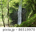 飽海三名爆のひとつで、旧八幡町の玉簾ノ滝。落差63mの直瀑で、山形県随一といわれる。 86519970