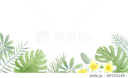 夏のイメージの背景素材　プルメリアとヤシの葉とモンステラ　ベクター 86520189