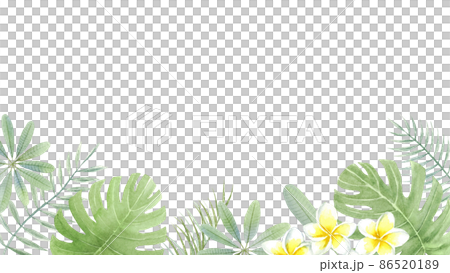 Background material for summer image Plumeria, palm leaves and monstera vector 86520189