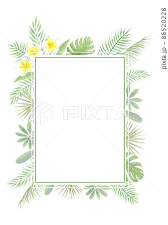 プルメリアと夏の葉の外フレーム 縦長 水彩イラスト 背景透過のイラスト素材