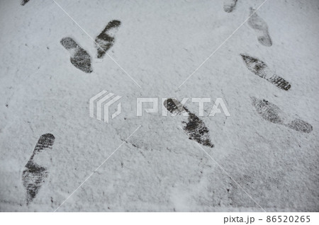 雪、足跡 86520265