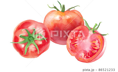 新鮮な完熟トマトの水彩イラスト。俯瞰、半分のカット、横向きのトマト組み合わせ。（ベクター） 86521233