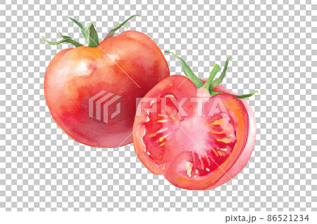 新鮮な完熟トマトの水彩イラスト。半分にカットしたトマト。 （ベクター。レイアウト変更可能） 86521234