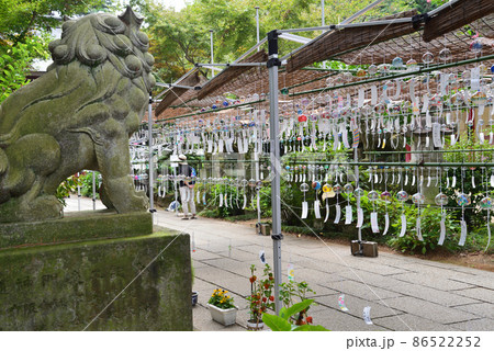 大宝八幡宮へ行きました　2021-8-22　＃32 86522252