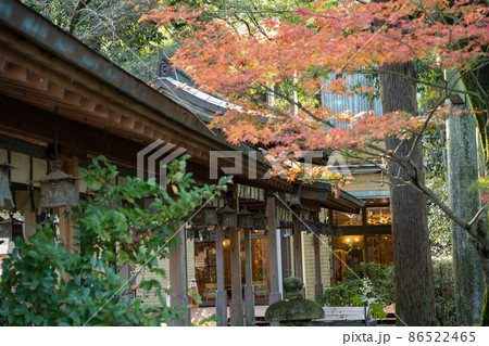 【静岡県】　大井神社 86522465