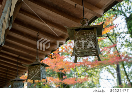 【静岡県】　大井神社 86522477