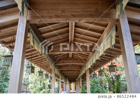 【静岡県】　大井神社 86522484