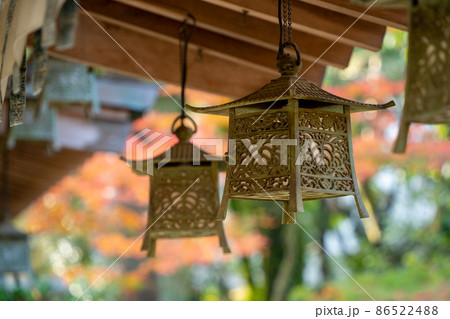 【静岡県】　大井神社 86522488