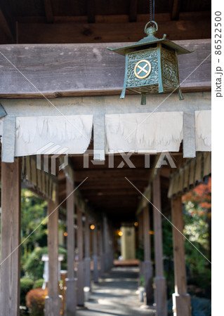 【静岡県】 大井神社 【静岡県】 大井神社 86522500
