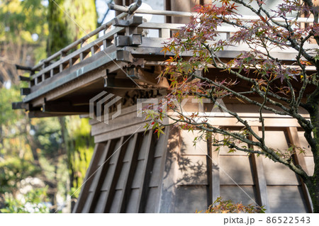 【静岡県】　大井神社 86522543