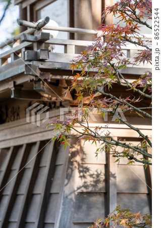 【静岡県】 大井神社 【静岡県】 大井神社 86522544