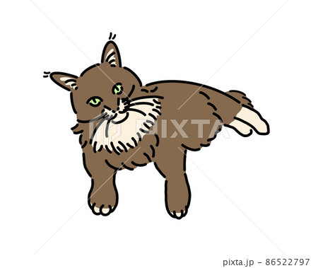 ペットの猫のメインクーン ペットの猫のメインクーン 86522797