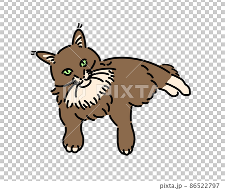 ペットの猫のメインクーン ペットの猫のメインクーン 86522797
