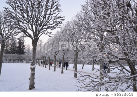 ロシアエカテリーナ宮殿 86523019