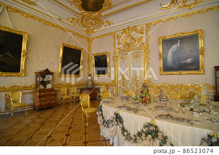 ロシアエカテリーナ宮殿 ロシアエカテリーナ宮殿 86523074