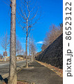 街路樹の風景 86523122