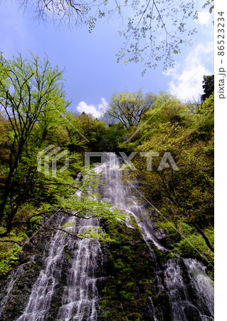 福井県池田町の龍双ヶ滝、春、日本の滝100選 86523234