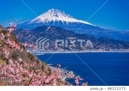 (静岡県)桜咲く、薩埵峠から望む、富士山 (静岡県)桜咲く、薩埵峠から望む、富士山 86523275