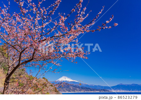 （静岡県）桜咲く、薩埵峠から望む、富士山 86523279