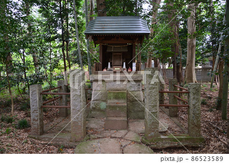 大宝八幡宮へ行きました 2021-8-22 #47 大宝八幡宮へ行きました 2021-8-22 #47 86523589