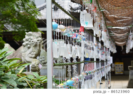 大宝八幡宮へ行きました 2021-8-22 #65 大宝八幡宮へ行きました 2021-8-22 #65 86523960
