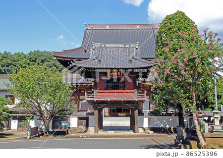 大應寺(富士見) 大應寺(富士見) 86525396