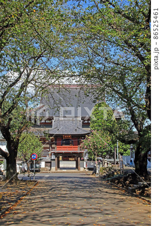 大應寺(富士見) 大應寺(富士見) 86525461