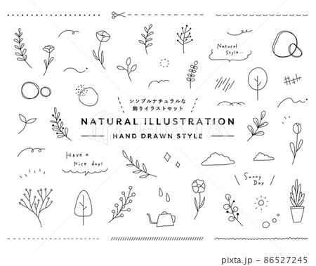 シンプルナチュラルな植物の飾りイラストのセット 花 葉 手描き ボタニカル 装飾 自然 オーガニックのイラスト素材