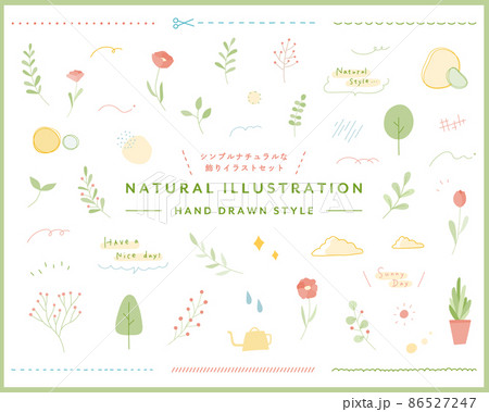 シンプルナチュラルな植物の飾りイラストのセット 花 葉 手描き ボタニカル 装飾 自然 オーガニックのイラスト素材