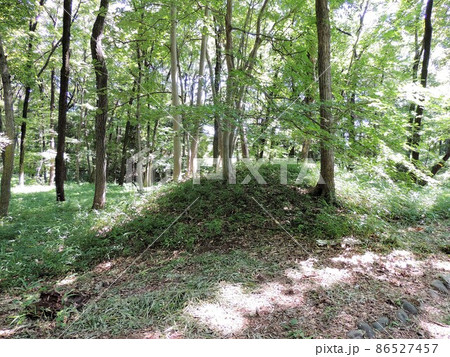 菅谷館跡 蔀土塁 菅谷館跡 蔀土塁 86527457