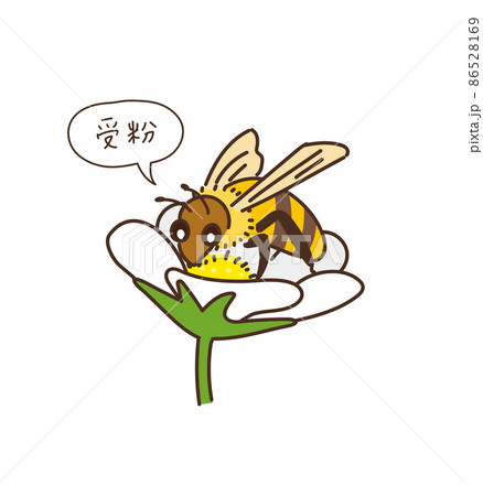 ハチ 蜂 受粉 受粉作業 イラストのイラスト素材
