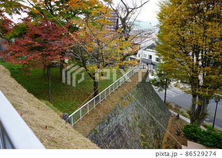 秋の盛岡城跡公園 秋の盛岡城跡公園 86529274