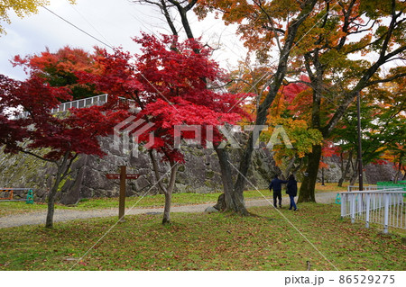 秋の盛岡城跡公園 秋の盛岡城跡公園 86529275