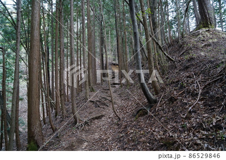 鳴虫山登山道 鳴虫山登山道 86529846