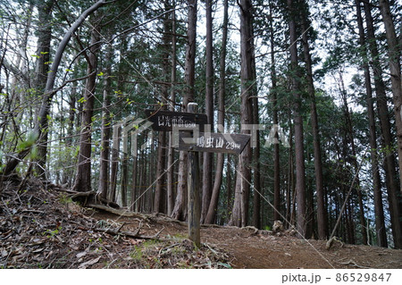 鳴虫山登山道 鳴虫山登山道 86529847