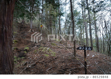 鳴虫山登山道 鳴虫山登山道 86529848
