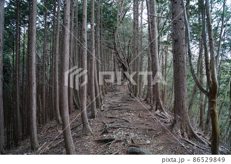 鳴虫山登山道 鳴虫山登山道 86529849