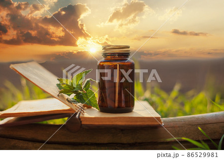 Natural medicines - extract from herbs concept. 86529981