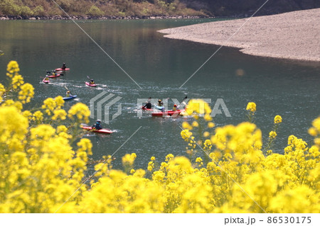 四万十川カヌーツーリング 四万十川カヌーツーリング 86530175
