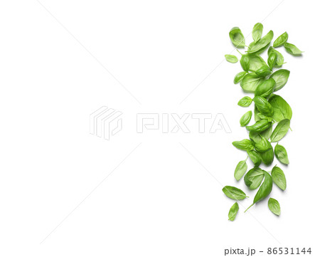 Fresh green basil leaves on white background, top view Fresh green basil leaves on white background, top view 86531144