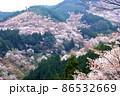 桜 86532669