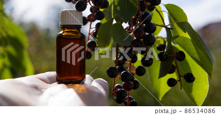Cherry extract, small amber bottle - natural vitamins and herbal medicine. 86534086