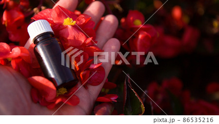 Perfumed water in a glass bottle and a small red flower with petals on the hand. Perfumed water in a glass bottle and a small red flower with petals on the hand. 86535216