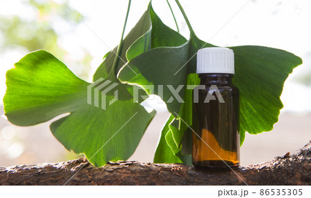 A ginkgo essential extract in a bottle and fresh leave. A ginkgo essential extract in a bottle and fresh leave. 86535305