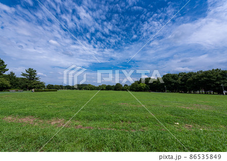 大宮第三公園(さいたま市) 大宮第三公園(さいたま市) 86535849
